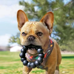 KONG Extreme Ring