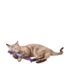 KONG Kickeroo Crunch