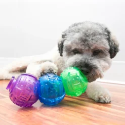 KONG Lock-It