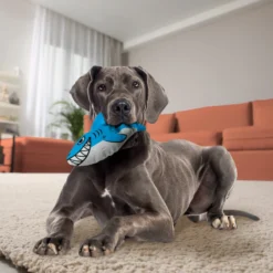 KONG Maxx Shark