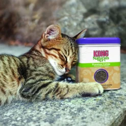 KONG Premium Torkad Kattmynta