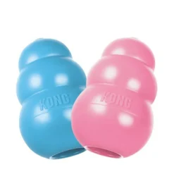 KONG Puppy
