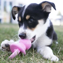 KONG Puppy Binkie