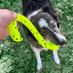 KONG Reflex Tug'n'Fetch