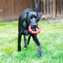 KONG Ring