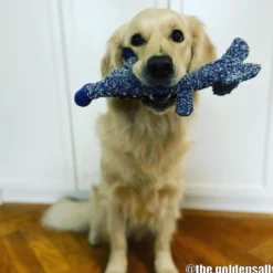 KONG Shakers Luvs Giraffe