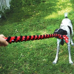 KONG Signature Mega DualKnot