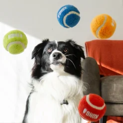 KONG Sport Softies Ball 3-pack