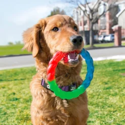 KONG Twistz Ring