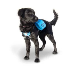 Kurgo Baxter Dog Backpack