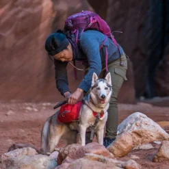 Kurgo Baxter Dog Backpack