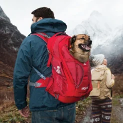 Kurgo G-Train Dog Carrier Backpack