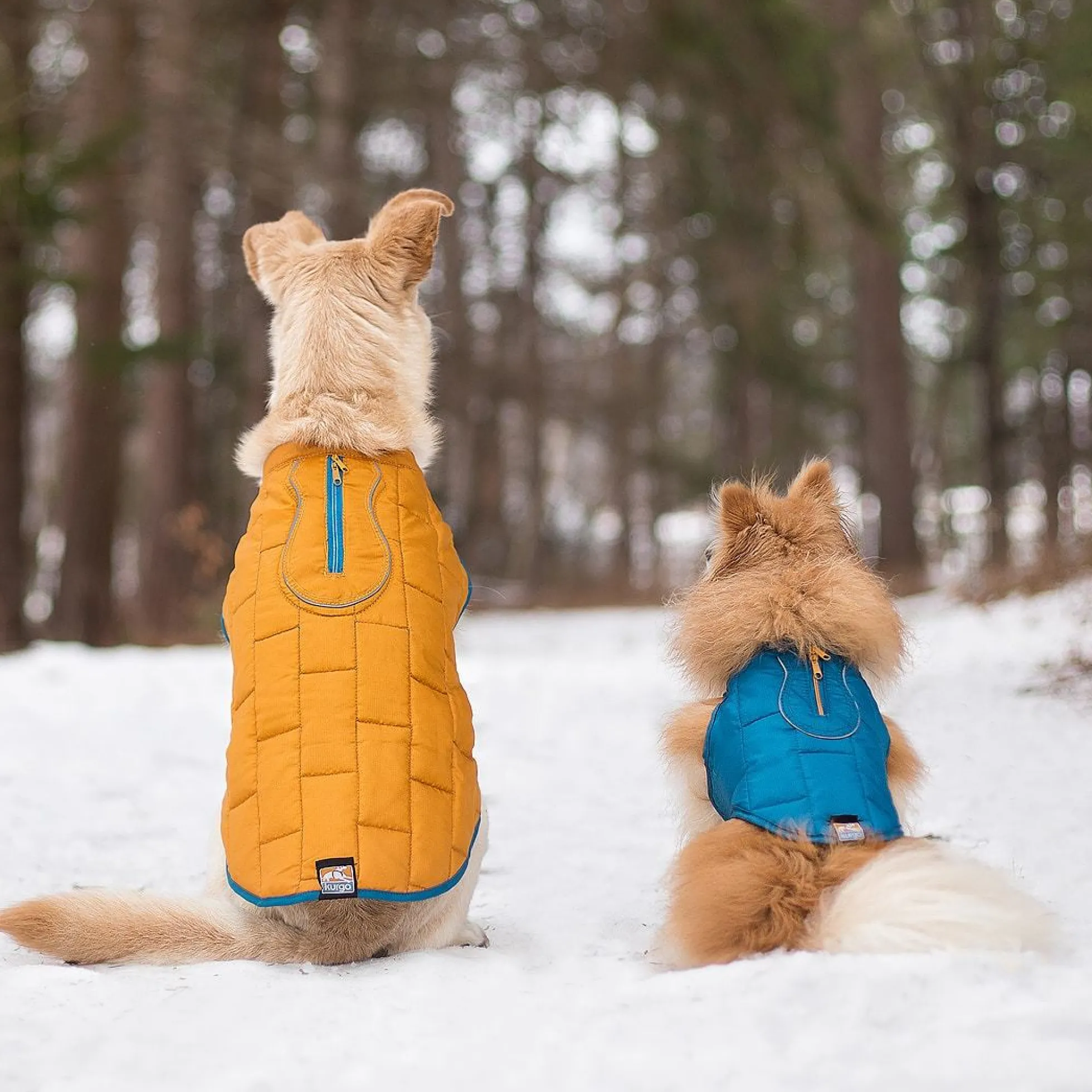 Kurgo Loft Hundjacka