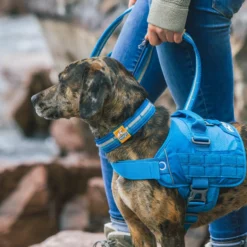 Kurgo RSG Dog Collar