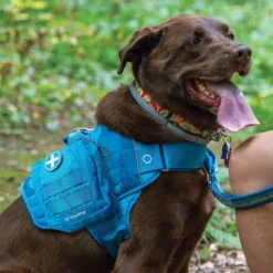 Kurgo RSG Dog First Aid Kit