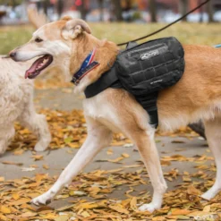Kurgo RSG Pack Pannier