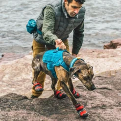 Kurgo RSG Townie Harness
