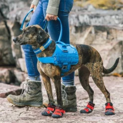 Kurgo RSG Townie Harness