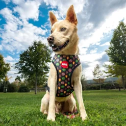 Marvel 2-in-1 Harness