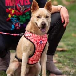 Marvel 2-in-1 Harness
