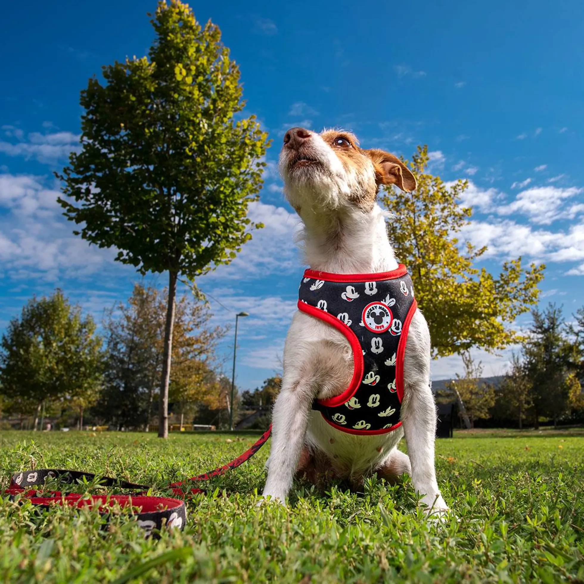 Mickey Mouse Mickey 2-in-1 Harness