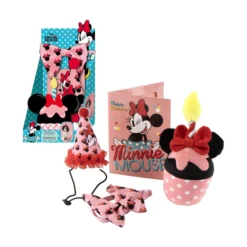 Minnie Mouse Minnie Birthday Kit