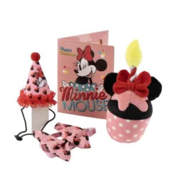 Minnie Mouse Minnie Birthday Kit