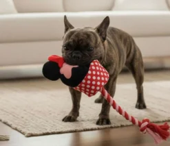 Minnie Mouse Minnie Hundleksak Dental Rope