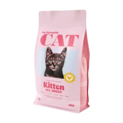 My favourite CAT Kitten All Breed Chicken