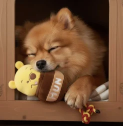 Nalle Puh Hundleksak Dental Rope