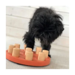 Nina Ottosson Dog Smart Composite, Nivå 1 Aktivitetsleksak