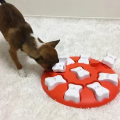 Nina Ottosson Dog Smart, Nivå 1 Aktivitetsleksak