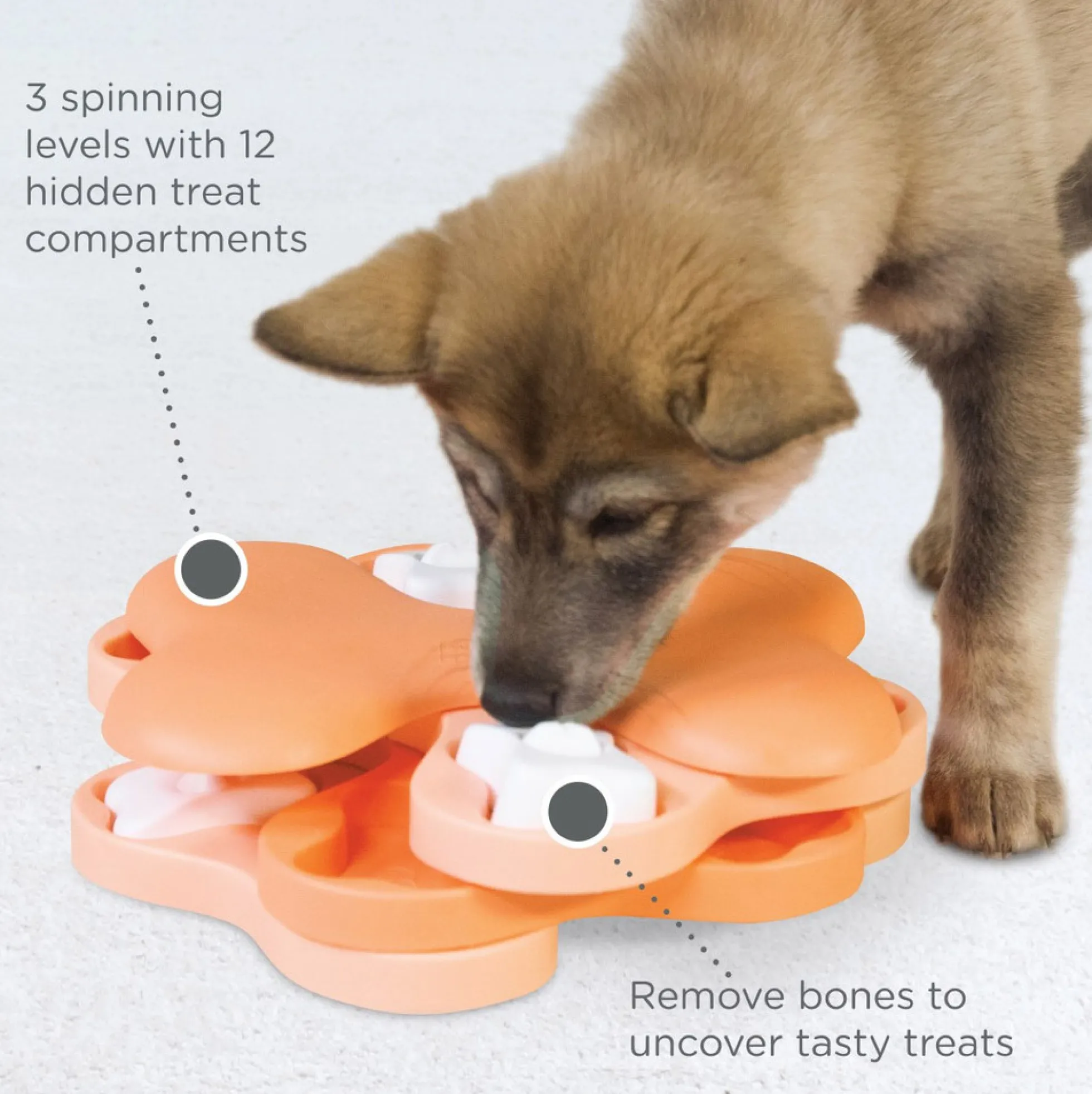Nina Ottosson Puppy Tornado, Nivå 2 Aktivitetsleksak