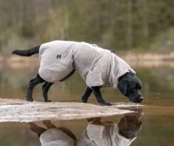 Non-stop dogwear Drying coat