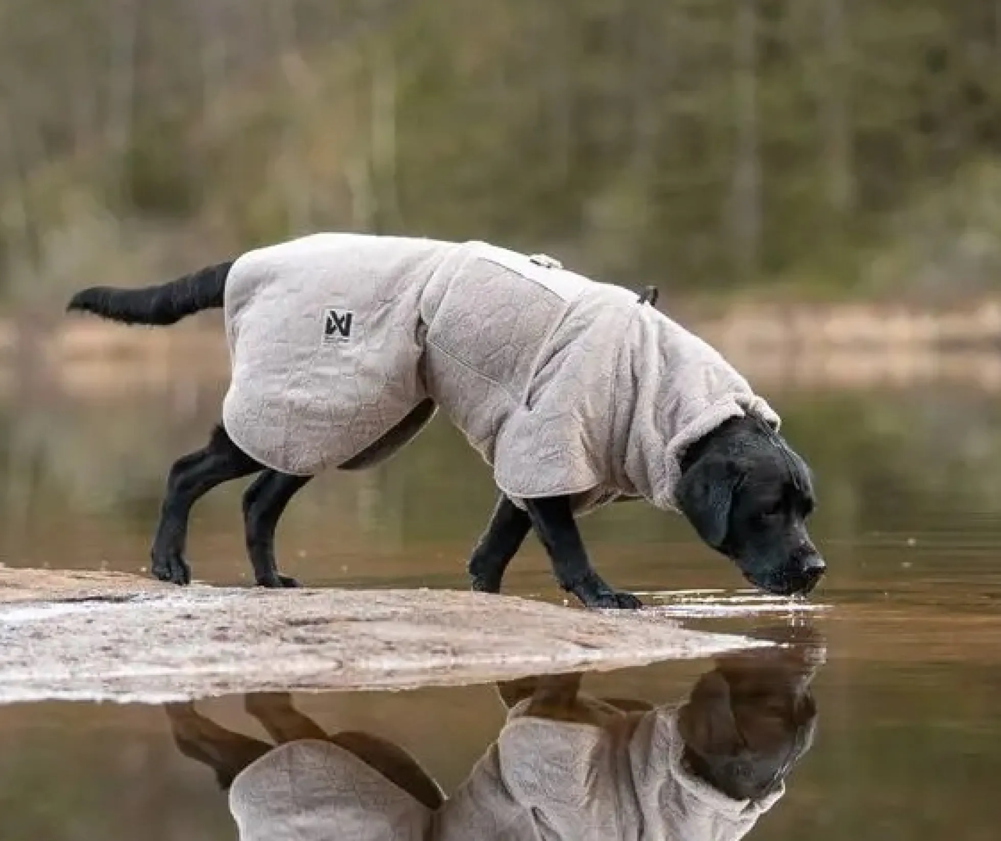 Non-stop dogwear Drying coat