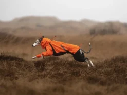 Non-stop dogwear Fjord Overall Raincoat
