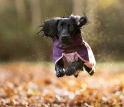 Non-stop dogwear Fjord Raincoat 2.0 Mauve
