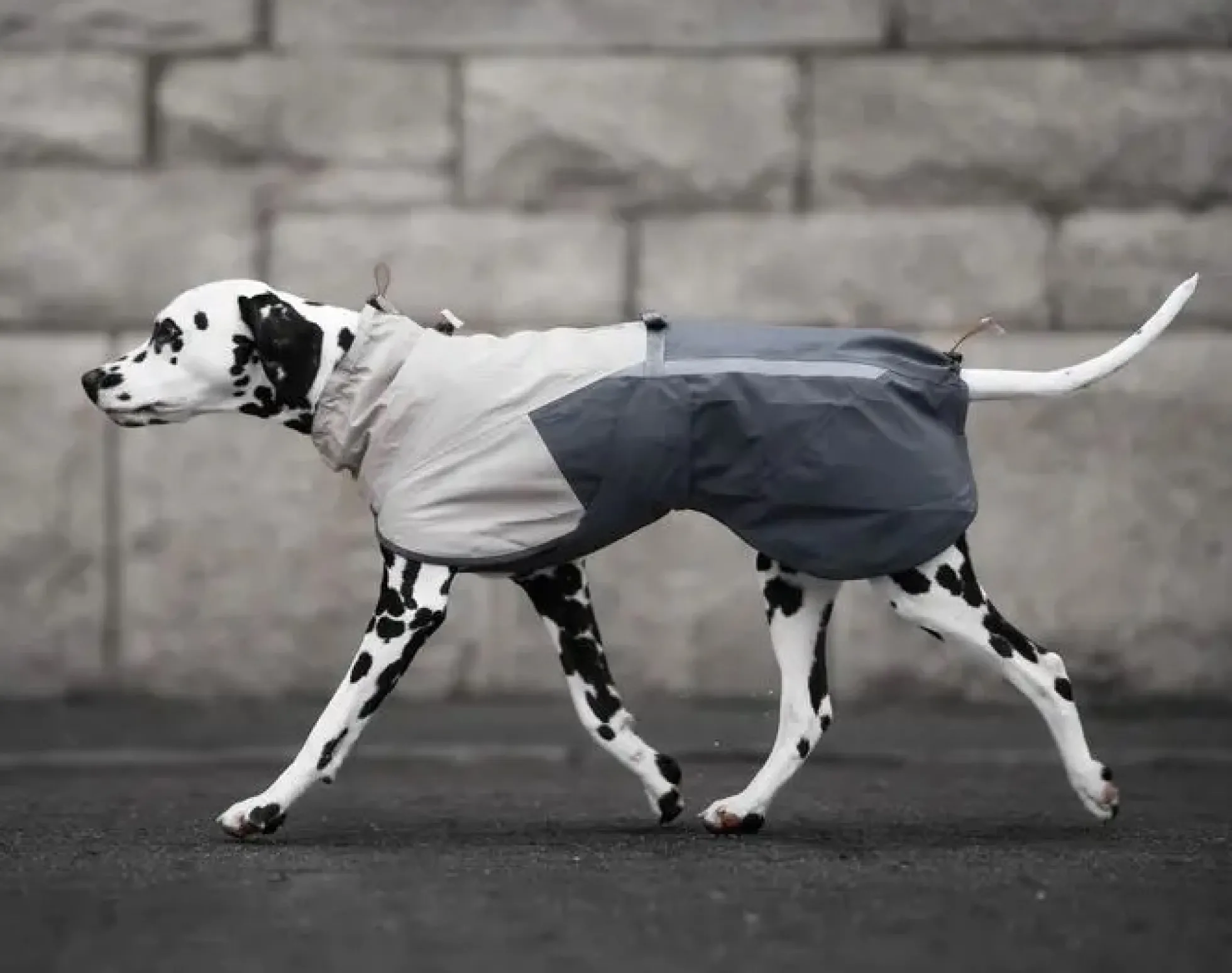 Non-stop dogwear Fjord Raincoat 2.0 Grey