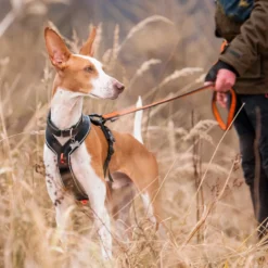 Non-stop dogwear Line Harness Grip