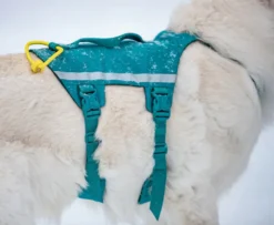 Non-stop dogwear Ramble Harness Long Blue