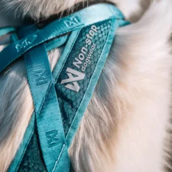Non-stop dogwear Rush Harness