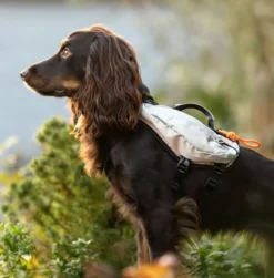 Non-stop dogwear Trail Light Dog Backpack Grey