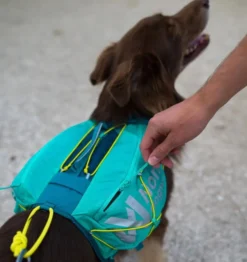 Non-stop dogwear Trail Light Dog Backpack Teal
