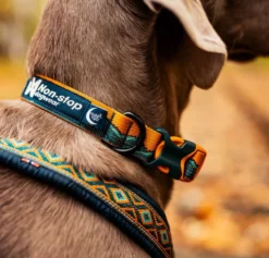 Non-stop dogwear Trail Quest Collar Rachel Pohl