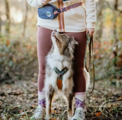 Non-stop dogwear Trail Quest Midjeväska Pink