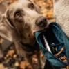 Non-stop dogwear Trail Quest Midjeväska Teal