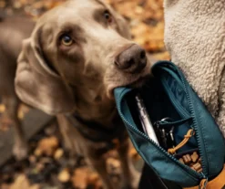 Non-stop dogwear Trail Quest Midjeväska Teal
