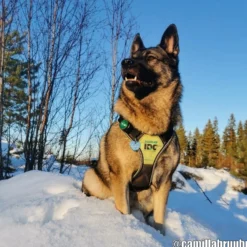 Orbiloc Säkerhetslampa