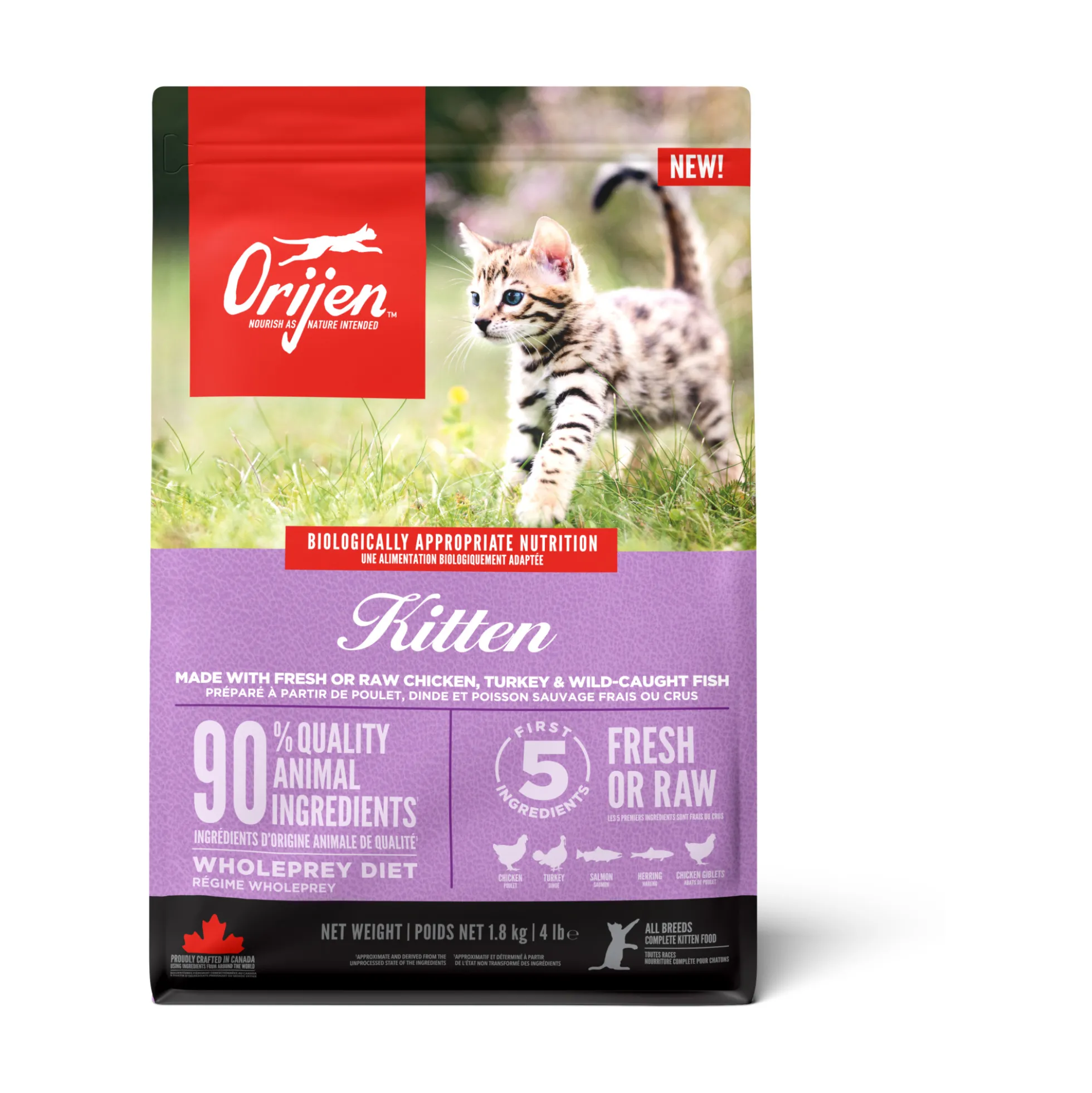 Orijen Cat Kitten
