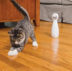 Petsafe Bolt Interactive Laser Light